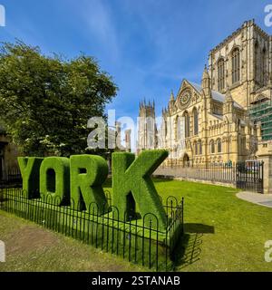 La facciata sud della York Minster vista dai Minster Gardens, con grandi lettere di YORK ricoperte di erba in primo piano in una giornata di sole con un cielo blu. Foto Stock
