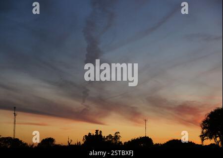 Gli alberi sagomati si distinguono per il vibrante tramonto di Miami, inondati di ardenti tonalità di arancione e blu rilassanti. Foto Stock