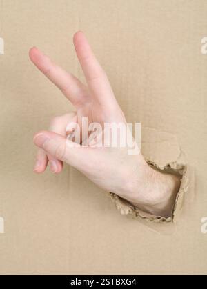 Mano che mostra un coniglio Foto Stock