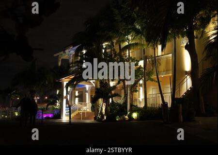 Nella vibrante Miami, un alto edificio con palme si erge alto contro il cielo notturno. I finestrini illuminati emettono una calda luce soffusa, creando un effetto co abbagliante Foto Stock