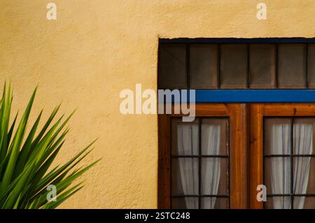 Primo piano astratto della parete e della porta del patio Foto Stock