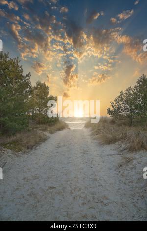 Traversata in spiaggia sull'isola di Usedom fino al Mar Baltico. Il sole splende sulla sabbia bianca e sull'erba delle dune. Foto naturalistiche da un'isola tedesca Foto Stock