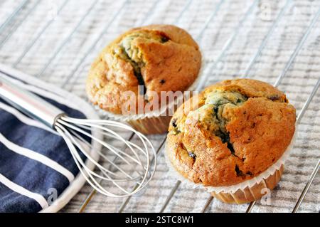 Due appena sfornato muffin ai mirtilli Foto Stock