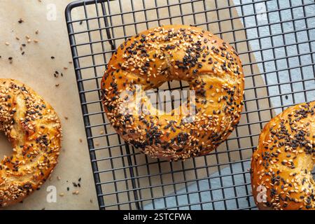 Bagel con semi di sesamo, posate a soffitto su una griglia di raffreddamento, appena sfornati Foto Stock