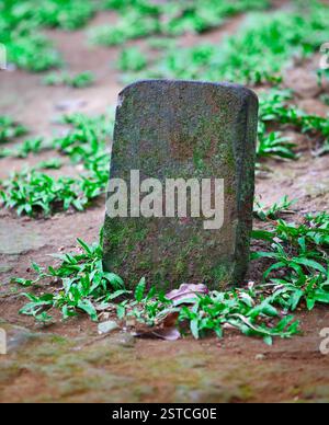 Lapide per la tomba per animali Foto Stock