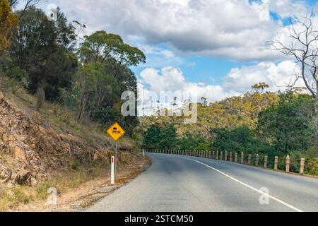 Tasman Highway, costa est Tasmania, Australia - 23 dicembre 2024: Passo ripido, strada autostradale rurale a due corsie Tasman sulla costa est della Tasmania Foto Stock