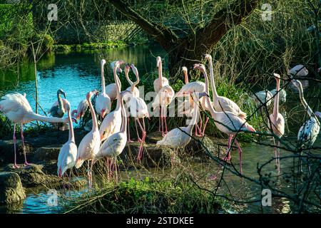 Bourton on the Water Cotswolds Foto Stock
