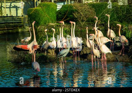 Bourton on the Water Cotswolds Foto Stock