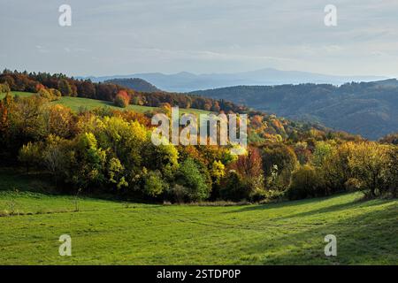 Paesaggio montano autunnale con prato e foresta. Luci laterali colorate con ombre. Cielo nuvoloso. Colline sullo sfondo. Vista dall'alto. Vrsatec, Slovacchia Foto Stock