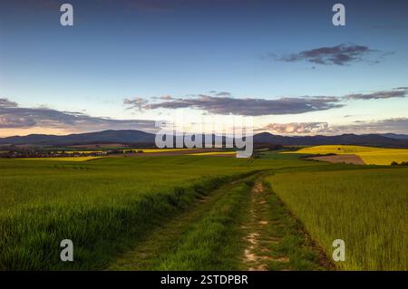 Spring rural landscape with path and field at sunset. Beautiful blue sky with colorful clouds. Banovce, Slovakia Foto Stock