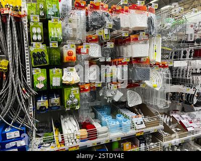 Leopoli, Ucraina - 16 febbraio 2025: Una navata organizzata che mostra varie forniture per la casa e articoli di plastica Foto Stock