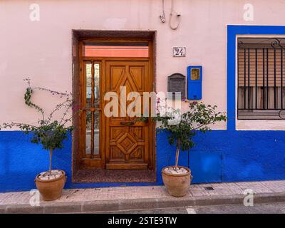 Questa invitante entrata presenta una porta di legno splendidamente realizzata adagiata su una parete blu vivace. Due piante in vaso aggiungono un tocco di verde, migliorando Foto Stock