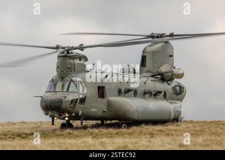 SF Helicopters, chinooks che conduce corsi di formazione in Galles e al confine inglese Foto Stock
