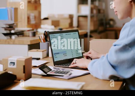 Persona che si concentra sui documenti finanziari con laptop e calcolatrice in un ufficio organizzato che visualizza dati e calcoli finanziari senza distrazioni Foto Stock
