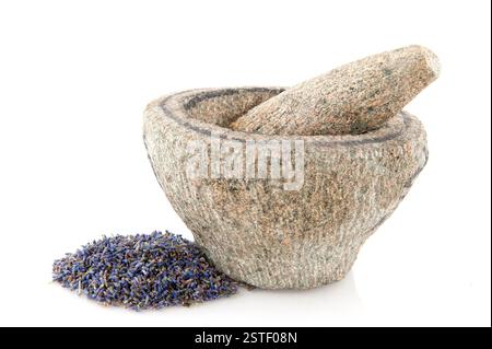 Mortaio naturale con lavanda Foto Stock