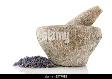 Mortaio di pietra Foto Stock