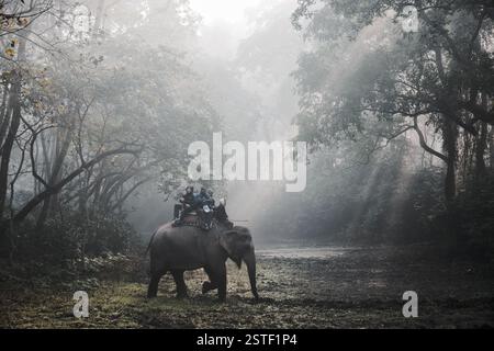 Safari degli elefanti a Chitwan, Nepal Foto Stock