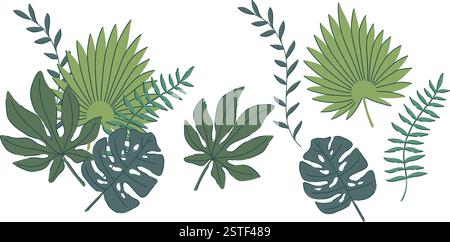 Illustrazione vettoriale di foglie della giungla tropicale, con fogliame di felce, palme e monstera. Un set a tema botanico con eleganti tonalità verdi, perfetto Illustrazione Vettoriale