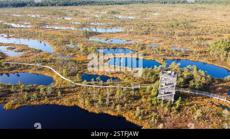 Veduta aerea della Torre di osservazione in legno che si affaccia su un paesaggio scenografico delle paludi Foto Stock