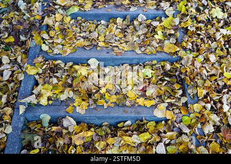 Gradini di cemento ricoperti da uno spesso strato di foglie gialle cadute in autunno, scena autunnale nel parco cittadino Foto Stock