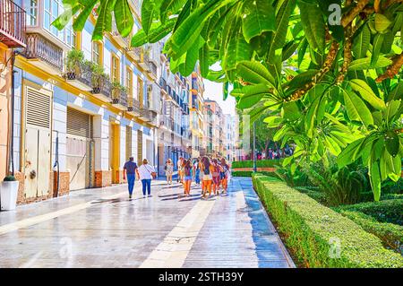 La vista sulla affollata Cister Street attraverso il verde del giardino della Cattedrale, Malaga, Spagna Foto Stock