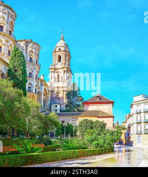 La vista sul campanile della Cattedrale di Malaga da via Santa Maria con giardino lussureggiante in primo piano, Malaga, Spagna Foto Stock