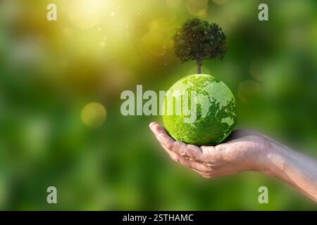 Mano di uomo che tiene la terra verde con albero per ESG, co2 e zero netto. Concetto di World Sustainable Environment, Save Our Planet, World Environment da Foto Stock