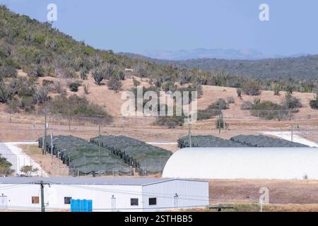 250216-N-CW190-1003 GUANTANAMO BAY, Cuba (16 febbraio 2025) alieno illegale che tiene tende alla stazione navale di Guantanamo Bay a sostegno della missione del Dipartimento della difesa e del Dipartimento della sicurezza interna per espandere il Centro operativo illegale di detenzione degli alieni durante l'operazione Southern Guard alla stazione navale di Guantanamo Bay, Cuba, 16 febbraio 2025. Sotto la direzione del presidente degli Stati Uniti al Dipartimento della sicurezza interna (DHS) e al Dipartimento della difesa, i membri del servizio militare degli Stati Uniti stanno sostenendo le operazioni di rimozione guidate dal DHS alla Naval Station Guantanamo Bay. (US Navy p Foto Stock