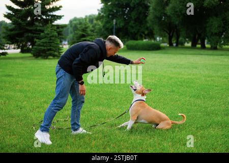 Cane nel parco al guinzaglio che gioca a palla con il proprietario. L'uomo tiene la palla sulla faccia del cane, esercitando il controllo. Il cane che aspetta il proprietario Foto Stock