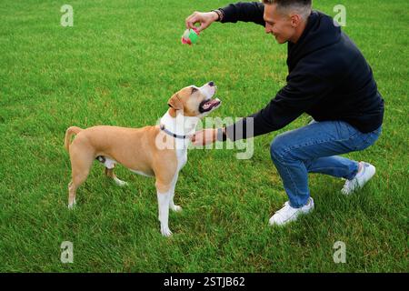 L'uomo tiene il collare del cane e gli mostra la palla che sta per lanciare. Il proprietario gioca con il cane nella natura. L'amicizia di un uomo e di un cane. Foto Stock