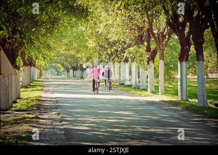 Una coppia di anziani che va in bicicletta lungo la strada alberata in una giornata di sole Foto Stock