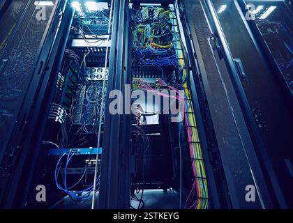 Dischi rigidi e cavi nel data center Foto Stock