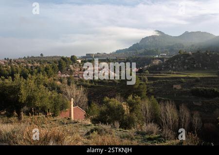 Paesaggio invernale con mandorli in fiore su terrazze coltivate alla sorgente del fiume Molinar de Alcoy, Spagna Foto Stock