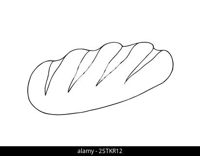 Pane vettoriale e panetteria. Pagnotta a inchiostro grafico, pane integrale, ciabatta, marrone fatto in casa, baguette. Illustrazione Bun isolata sullo sfondo. Mano Illustrazione Vettoriale