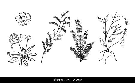 Una collezione di opere d'arte botaniche disegnate a mano con fiori, foglie e fiori selvatici. Illustrazione vettoriale. Illustrazione Vettoriale