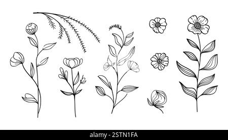 Una collezione di opere d'arte botaniche disegnate a mano con fiori, foglie e fiori selvatici. Illustrazione vettoriale. Illustrazione Vettoriale