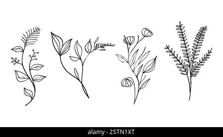 Una collezione di opere d'arte botaniche disegnate a mano con fiori, foglie e fiori selvatici. Illustrazione vettoriale. Illustrazione Vettoriale