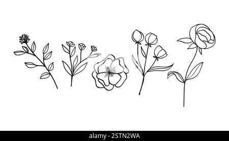Una collezione di opere d'arte botaniche disegnate a mano con fiori, foglie e fiori selvatici. Illustrazione vettoriale. Illustrazione Vettoriale