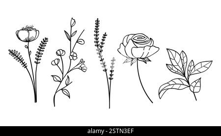 Una collezione di opere d'arte botaniche disegnate a mano con fiori, foglie e fiori selvatici. Illustrazione vettoriale Illustrazione Vettoriale