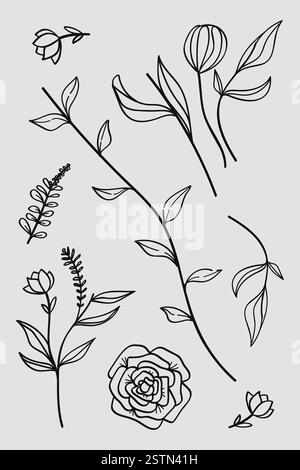 Una collezione di opere d'arte botaniche disegnate a mano con fiori, foglie e fiori selvatici. Illustrazione vettoriale Illustrazione Vettoriale
