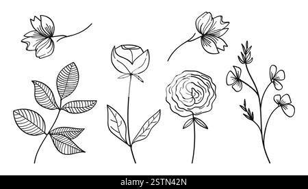 Una collezione di opere d'arte botaniche disegnate a mano con fiori, foglie e fiori selvatici. Illustrazione vettoriale Illustrazione Vettoriale