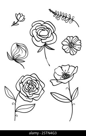 Una collezione di opere d'arte botaniche disegnate a mano con fiori, foglie e fiori selvatici. Illustrazione vettoriale Illustrazione Vettoriale
