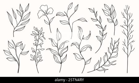 Set vettoriale disegnato a mano di vari rami di silhouette con foglie in tecnica di contorno su sfondo bianco. Illustrazione vettoriale Illustrazione Vettoriale