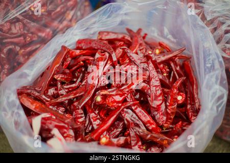 Contea di Goesan, Corea del Sud - 10 settembre 2020: Un sacchetto pieno di peperoncino di Goesan appena secchi, una specialità regionale conosciuta per il suo rosso intenso c Foto Stock