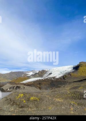 Un paesaggio glaciale caratterizzato da un grande ghiacciaio, terreno roccioso e vivaci macchie di muschio sotto un cielo azzurro Foto Stock