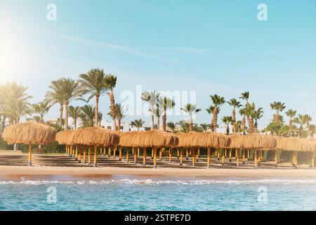 Ombrelloni da spiaggia, ombrelloni in foglia di cocco in piedi sulla riva del mare sullo sfondo di un cielo azzurro soleggiato e abbagliante. Vista sulla spiaggia tropicale con file Foto Stock