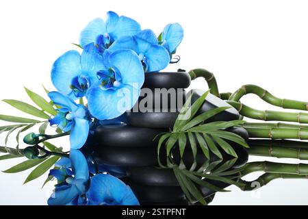 Splendidi fiori di orchidea blu, steli di bambù, foglie verdi e pietre termali sulla superficie dello specchio su sfondo bianco Foto Stock