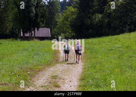 Bohinj, Slovenia - 14 luglio 2024: Un sentiero alpino panoramico nel Parco Nazionale del Triglav da Bohinjska Bistrica al Lago di Bohinj, Slovenia, con prati lussureggianti, m Foto Stock