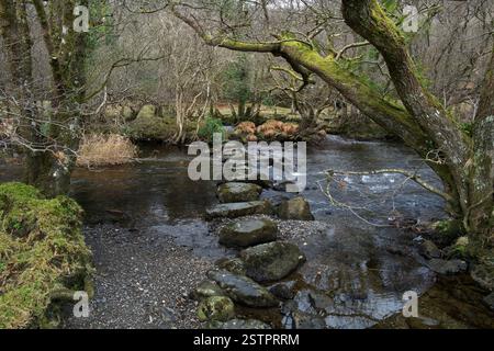 Il fiume Llugwy (Afon Llugwy) è un affluente del fiume Conwy. La sua fonte è Ffynnon Llugwy, un lago della gamma Carneddau a Snowdonia. Foto Stock