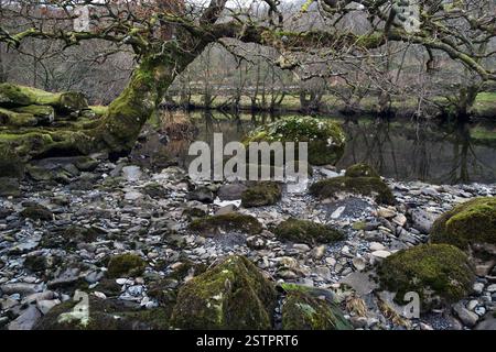 Il fiume Llugwy (Afon Llugwy) è un affluente del fiume Conwy. La sua fonte è Ffynnon Llugwy, un lago della gamma Carneddau a Snowdonia. Foto Stock